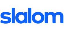 Slalom logo