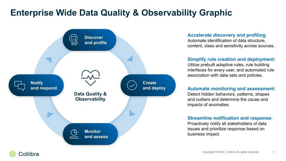 Managing data quality with a continuous cycle