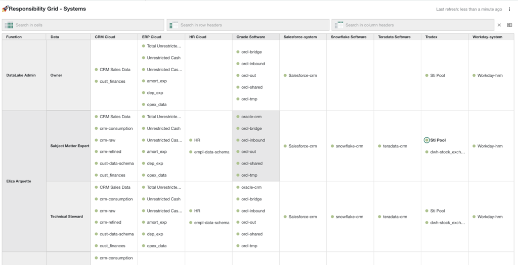 An example of an asset grid that identifies data owners for different databases