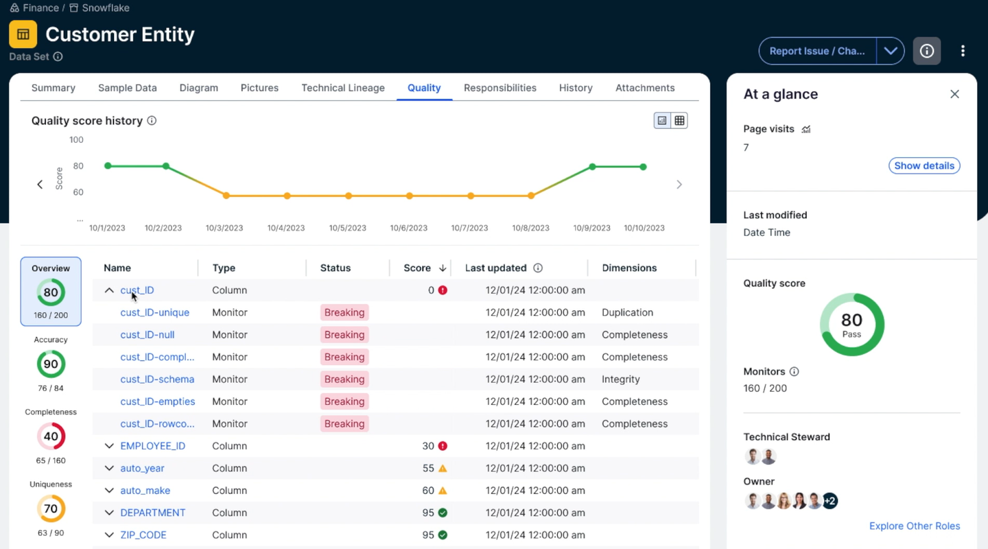 Provide data quality visibility within the data catalog