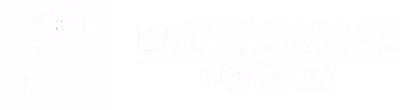 BNP Paribas Fortis logo