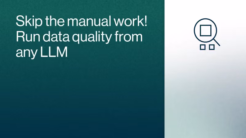 Skip the manual work! Run data quality from any LLM cover image