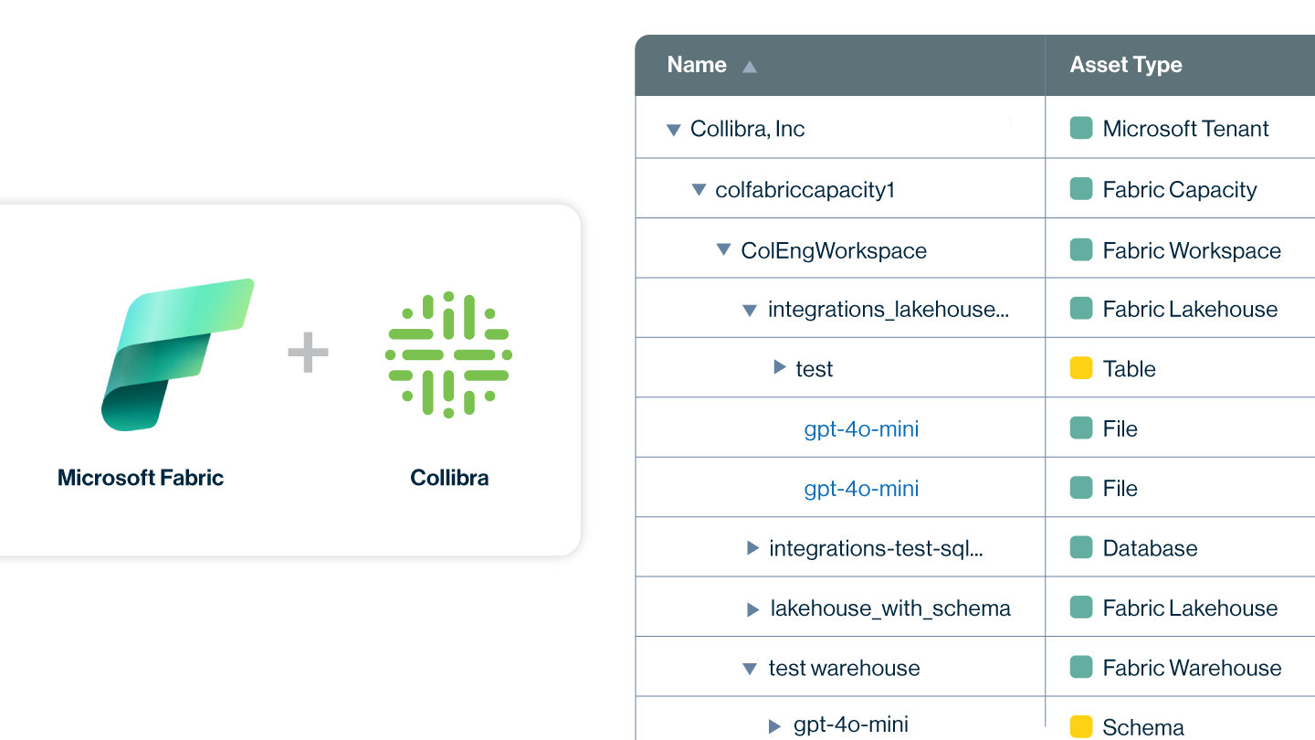 Support for Microsoft Fabric image