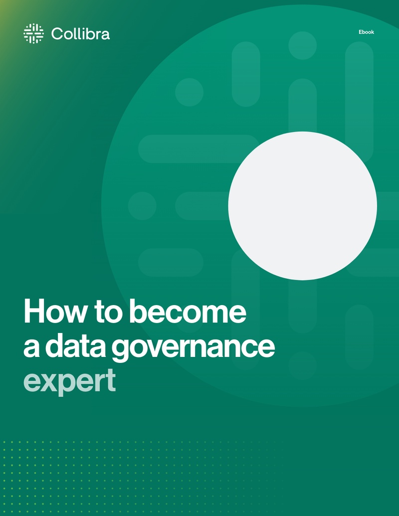 How to become a data governance expert cover image
