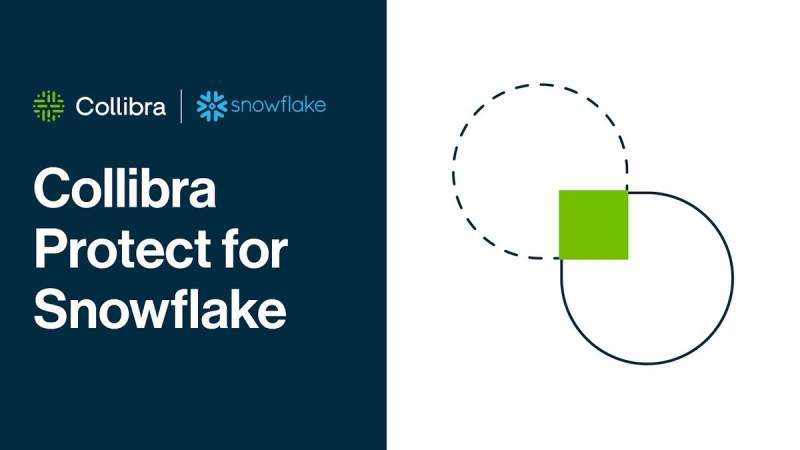 Collibra Protect for Snowflake: product overview cover image